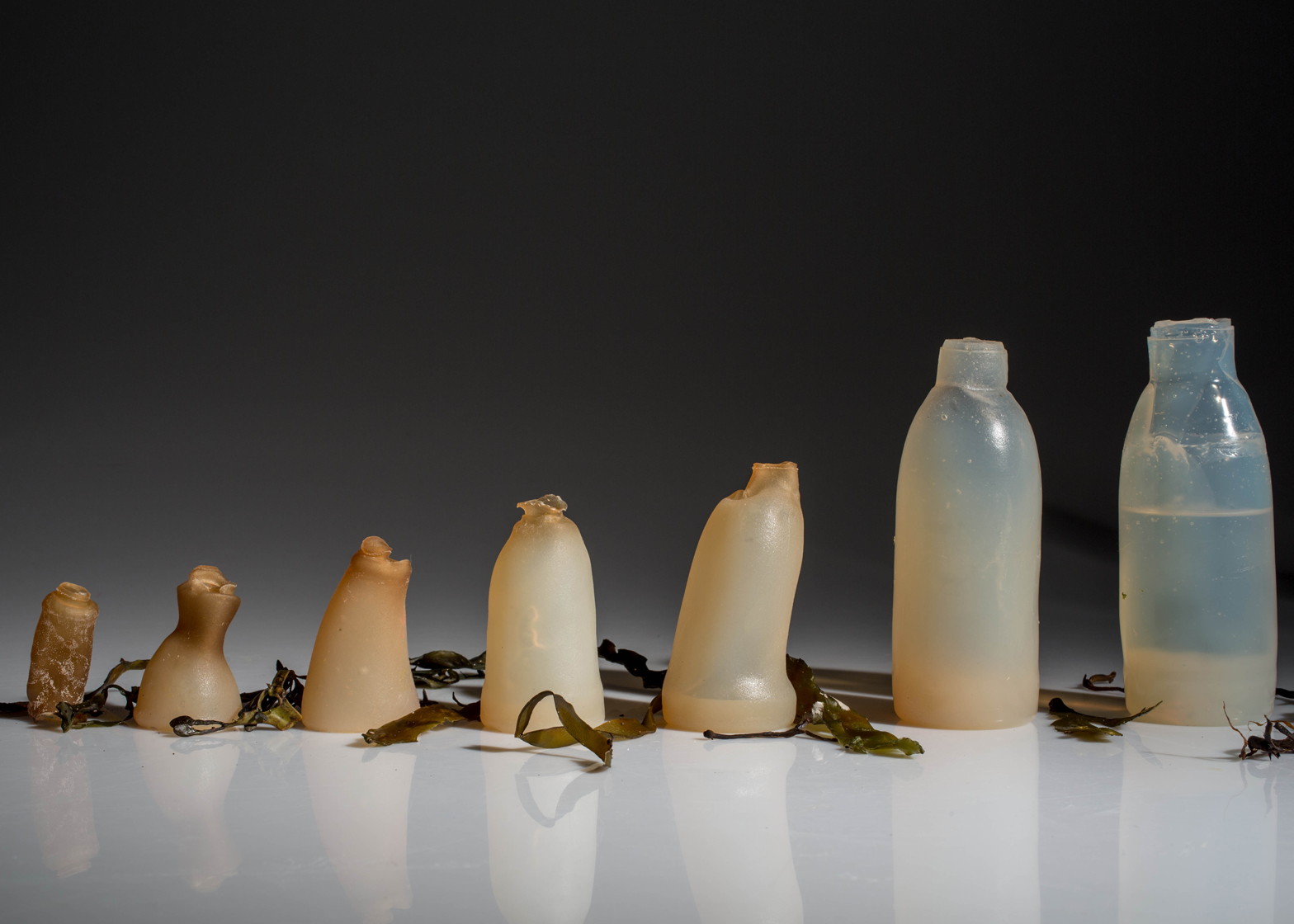 Dall’Islanda la bottiglia fatta di alghe che si auto-elimina